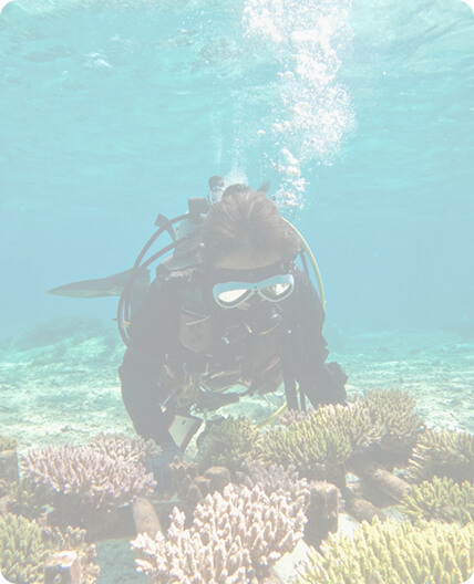 ブラーがかかったダイビングをする人の写真