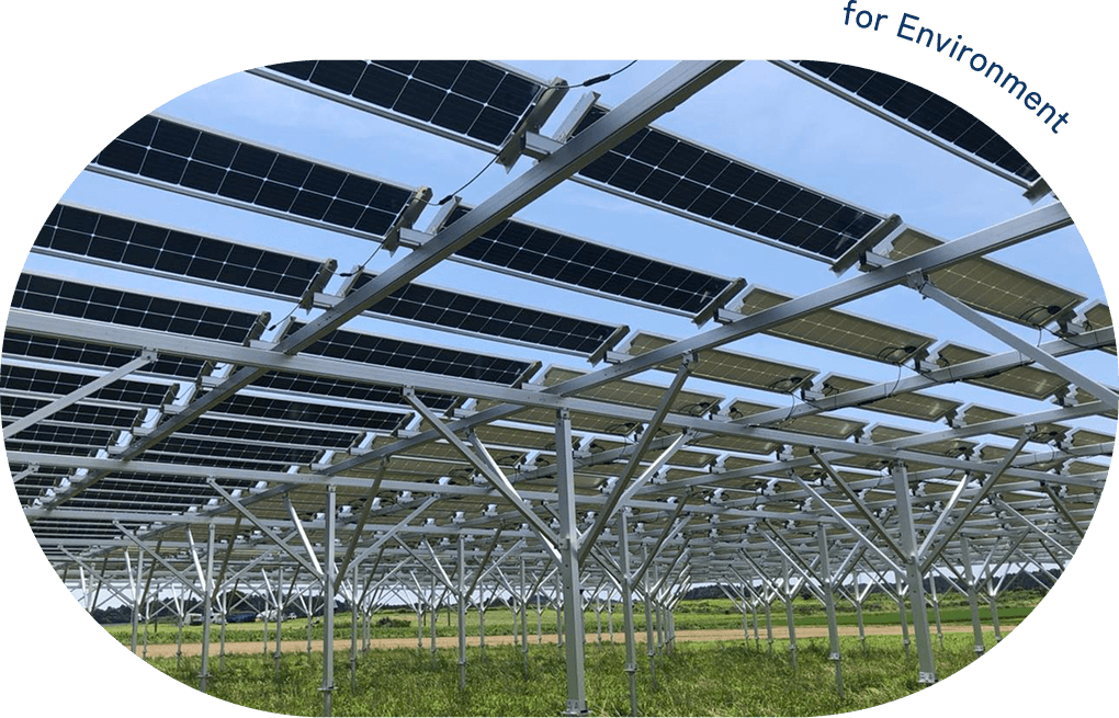 太陽光パネルがたくさん並んだ写真