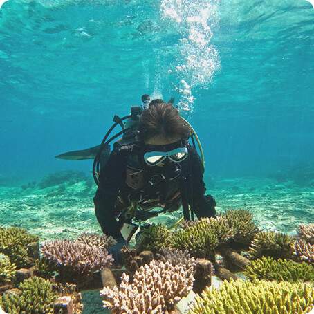 ダイビングをしている人の写真