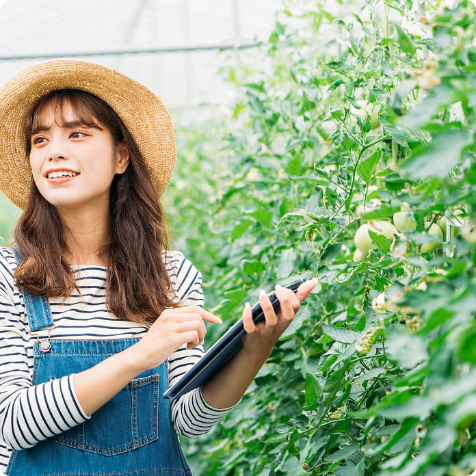 実がなっている農作物の前でタブレットを指差す女性の写真