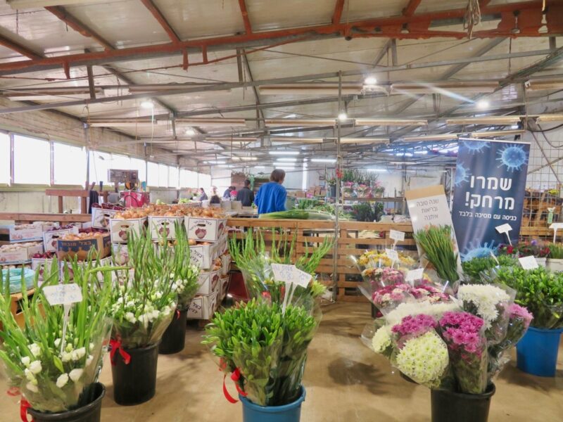 メルマガ1 イスラエルのkfar Haim村の地産製品の販売所。