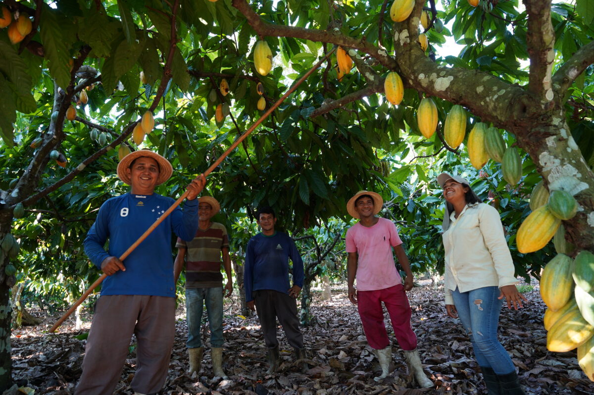 現#02カカオ農家