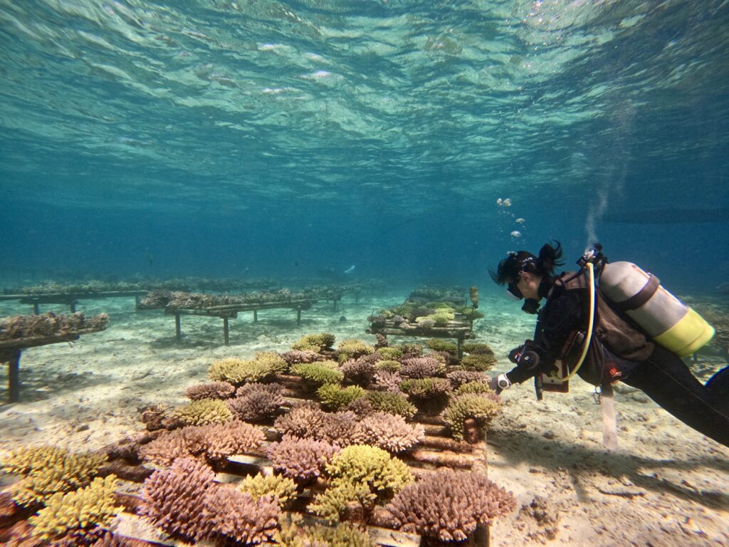 DCIM100GOPROGOPR0018.JPG