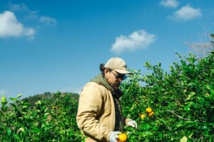 岡小嶋正太郎さんさんの写真