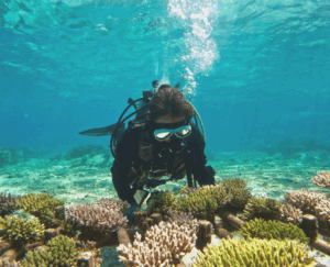 大嶋紗織さんさんの写真
