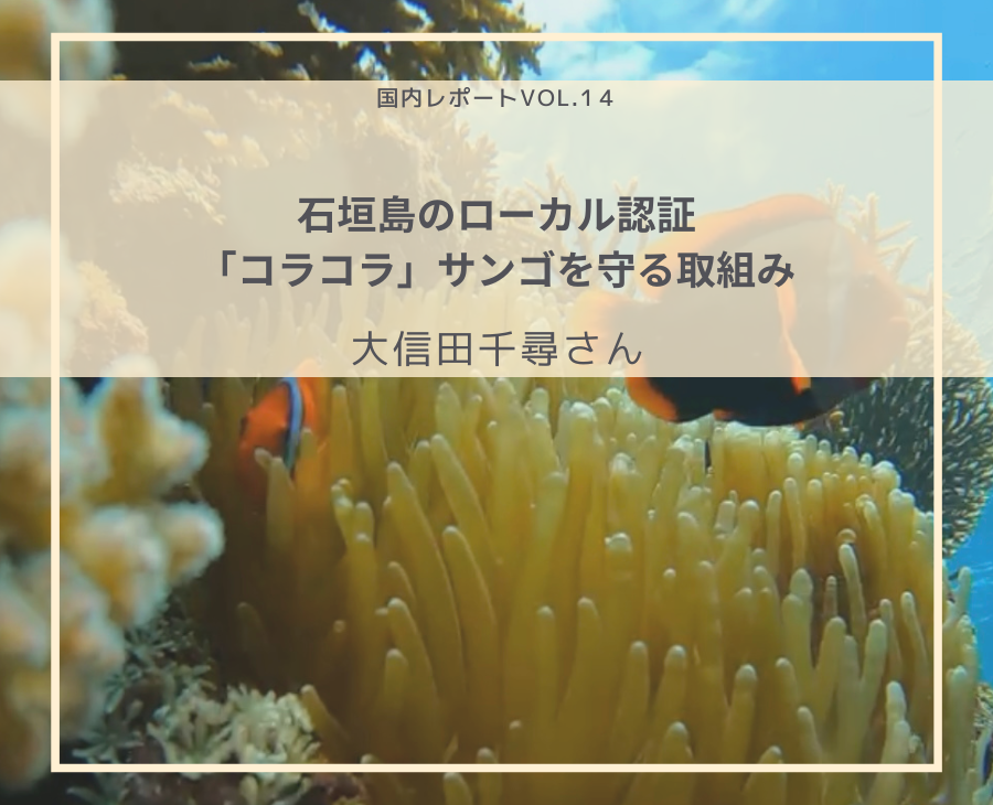 石垣島のローカル認証「コラコラ」サンゴを守る取組み：大信田千尋さん